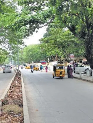 Harrington Road Escorts